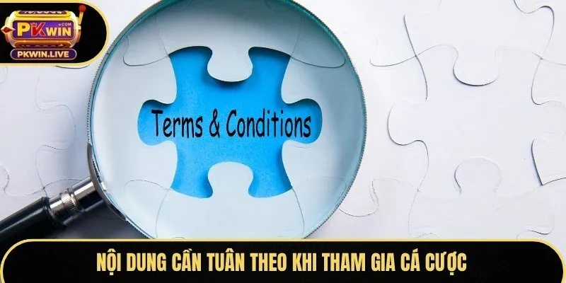 Nội dung cần tuân theo khi tham gia cá cược
