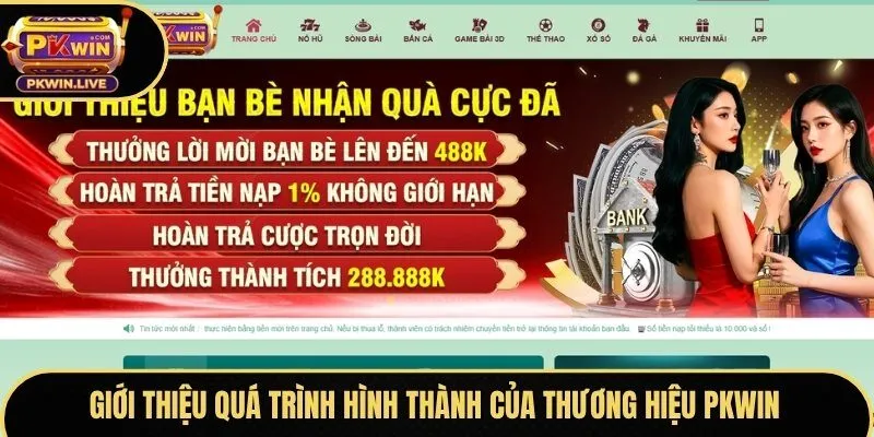 Giới thiệu quá trình hình thành của thương hiệu Pkwin