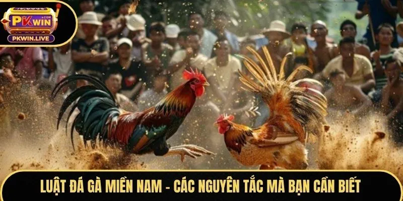 Luật đá gà miền nam