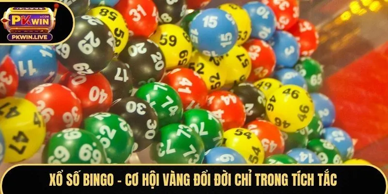 Xổ số Bingo